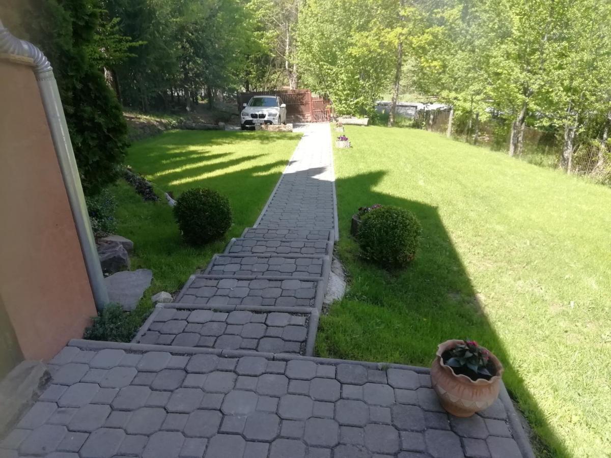 Demeny Vendeghaz Villa Sub Cetate Exterior photo